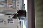     
: DSC_0108.jpg
: 14
:	82.9 
ID:	7551730