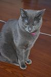     
: DSC_0420.jpg
: 11
:	60.6 
ID:	7551746
