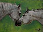     
: IMG_5881.JPG
: 15
:	266.4 
ID:	7551912