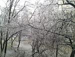     
: 20140120_122707.jpg
: 17
:	298.1 
ID:	7552062