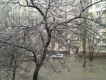     
: 20140120_122649.jpg
: 14
:	304.4 
ID:	7552069