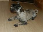     
: DSCN2929.jpg
: 5
:	136.7 
ID:	7552885