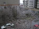     
: P1010002.jpg
: 37
:	280.4 
ID:	7553229