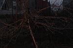     
: IMG_3810.jpg
: 4
:	111.8 
ID:	7553539