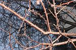     
: IMG_3808.jpg
: 5
:	294.5 
ID:	7553544