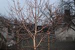     
: IMG_3809.jpg
: 3
:	297.4 
ID:	7553545