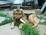     
: rso9NUoEcw8.jpg
: 10
:	255.9 
ID:	7559255