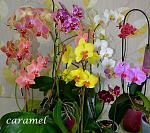     
: DSC_0047.jpg
: 15
:	160.9 
ID:	7560678