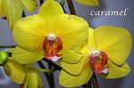     
: DSC_0060.jpg
: 13
:	90.9 
ID:	7560679