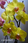     
: DSC_0057.jpg
: 10
:	60.3 
ID:	7560680