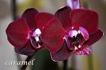     
: DSC_0063.jpg
: 10
:	99.6 
ID:	7560682