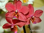     
: DSC_0073.jpg
: 14
:	143.0 
ID:	7560707