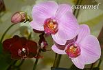     
: DSC_0075.jpg
: 14
:	104.6 
ID:	7560715