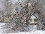     
: IMG_3301.JPG
: 70
:	147.8 
ID:	7562884