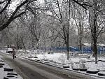    
: IMG_3304.JPG
: 68
:	142.1 
ID:	7562886