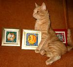     
: 20.01.2014к.jpg
: 9
:	106.3 
ID:	7563881
