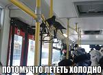     
: V6wOhuktKDI.jpg
: 7
:	61.0 
ID:	7565735
