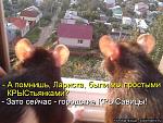     
: kotomatritsa_S3.jpg
: 15
:	74.4 
ID:	7565750
