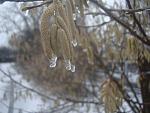     
: DSC03296.jpg
: 18
:	96.1 
ID:	7566755