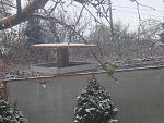     
: DSC03349.jpg
: 16
:	177.4 
ID:	7566769