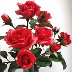    
:  2014 091.jpg
: 4
:	105.7 
ID:	7566806