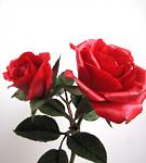     
:  2014 069.jpg
: 7
:	65.2 
ID:	7566814