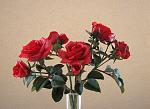     
:  2014 098.jpg
: 7
:	125.7 
ID:	7566815
