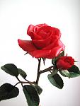     
:  2014 077.jpg
: 4
:	53.9 
ID:	7566841