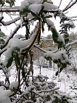     
: Фото0828.jpg
: 4
:	156.4 
ID:	7568181
