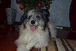     
: 4sHpMVn8MQc.jpg
: 3
:	96.3 
ID:	7568914