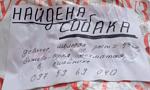     
: sfr8Zna65Q4.jpg
: 15
:	93.7 
ID:	7569260