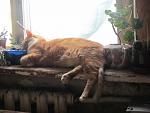     
: IMG_5616.jpg
: 3
:	100.1 
ID:	7569462