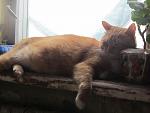     
: IMG_5631.jpg
: 3
:	92.1 
ID:	7569464