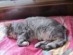     
: IMG_5624.jpg
: 1
:	143.1 
ID:	7569466