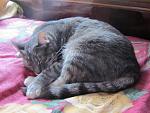     
: IMG_5611.jpg
: 2
:	127.6 
ID:	7569467