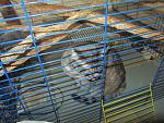     
: IMG_5625.jpg
: 3
:	182.4 
ID:	7569476