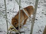     
: 2014-01-23 16.04.33.jpg
: 17
:	180.7 
ID:	7569767