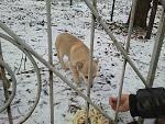     
: 2014-01-23 16.04.49.jpg
: 12
:	205.9 
ID:	7569768