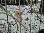     
: 2014-01-23 16.04.58.jpg
: 11
:	212.8 
ID:	7569769