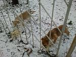     
: 2014-01-23 16.04.14.jpg
: 14
:	196.2 
ID:	7569770
