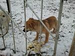     
: 2014-01-23 16.04.20.jpg
: 16
:	190.8 
ID:	7569771