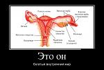     
: 1384067267_demotivatory_pervik66_001.jpg
: 15
:	83.3 
ID:	7570812