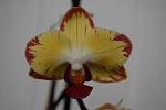     
: DSC_1704.jpg
: 12
:	55.3 
ID:	7571302