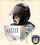     
: 5_8QjkKcMYs.jpg
: 11
:	57.8 
ID:	7571600