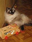     
: IMG_0182.jpg
: 10
:	75.9 
ID:	7574668