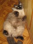    
: IMG_0186.jpg
: 9
:	83.3 
ID:	7574670