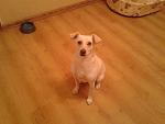     
: 2013-11-20 22.09.08.jpg
: 10
:	89.0 
ID:	7575757
