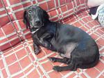     
: 1390644728353.jpg
: 6
:	172.3 
ID:	7577988