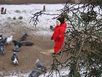     
: DSC00158.jpg
: 20
:	136.0 
ID:	7578319