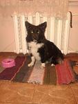     
: 20140125_222324.jpeg
: 11
:	39.3 
ID:	7581272